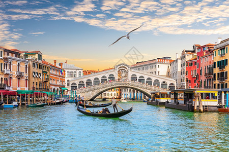 历史海鸥飞过Rialto大桥这是威尼斯一个流行的里程碑意大利威尼斯海鸥飞过Rialto大桥这是意利威尼斯的一个受欢迎标志城市景观图片
