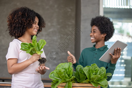 挑选蔬菜的小男孩们图片