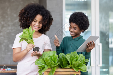 挑选蔬菜的小男孩图片