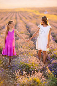 人们放松穿白裙子的紫衣花朵场小可爱女孩享受暑假穿着白衣服日落时穿白衣服的紫花田女孩们图片
