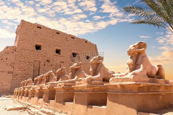 历史建筑学KarnakTemple埃及卢克索人头狮身面像的通道美丽图片