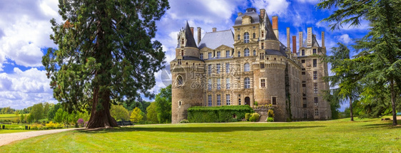建筑学旅游明信片法国最美丽和神秘的城堡之一布里萨克城堡卢瓦尔山谷著名城堡卢瓦尔河谷中世纪城堡法国布里萨茨古迹和历史遗都是法国最美图片