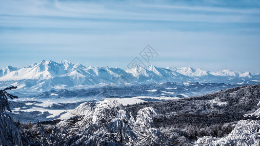 冬季雪景风光图片