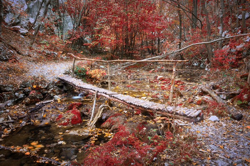 罗马尼亚CheileNereiBeusnita的木桥秋季拍摄的图像荒野贝斯尼塔安详图片