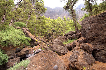 旅行巴兰科德拉斯皮RedondasMagmatic岩石卡尔德拉塔布里恩特公园生物圈保护区赞比亚环境保护署LIC拉帕尔马加那利群岛图片