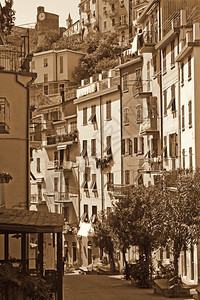 白色的旅行大地意利古里亚地区CinqueTerreRiomaggiore村图片