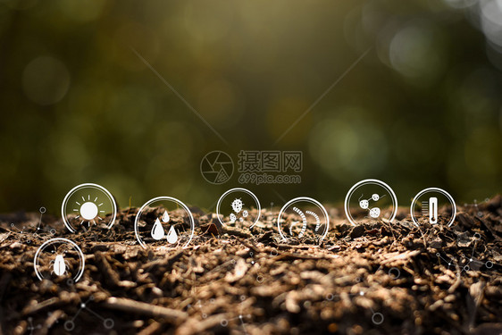为了细菌土壤肥沃与退化的标志技术相照亮保持图片