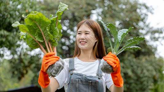 晴天女园艺人概念一名年轻的女园艺员戴着一对橙色手套摘起蔬菜的根茎快乐地看着它们场草图片