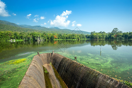 风景美丽的夏天AngKaewChangiMai大学森林山蓝天背景白云山林自然之路的一幅景图图片