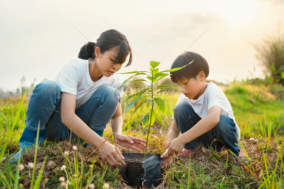 在户外种树的孩子和母亲图片