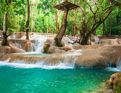 树木级联天气在长江普拉邦老挝旅行地貌和目的深热带雨林LuangPrapang老挝旅游地貌和目的由宽西连级瀑布中水绿玉而成的奇妙松图片