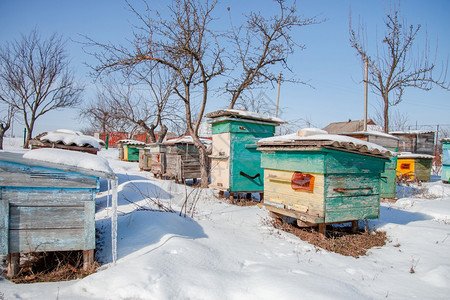 乡村的蜂巢一种在阳光明媚的日子里在有雪覆盖的冬季花园中特写一组蜂箱在阳光明媚的日子里为冬天准备蜂箱图片