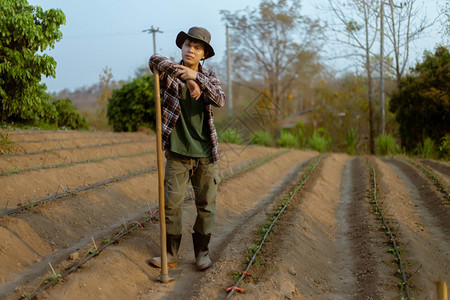 春天农田营养的园艺概念男农民利用在土壤中挖洞的蹄子进行蔬菜田种植为物做准备图片