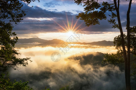 美丽的空中景色清晨风的美丽金色月光日出雾在高山上流淌奇妙雾清晨风景环境岩石流动图片