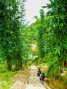 亚洲沙巴场地越南老蔡北山SapaChapa附近的CatcatHmong村图片