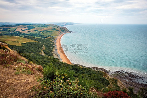 季节位于英国多尔塞特的极拉西奇海岸背景金冠绿田与英吉利海峡和农村地区绿色田间在联合王国多尔塞特的极拉西奇海岸背景金冠上闪亮暑假照图片