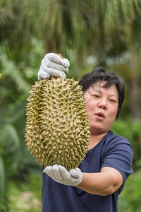 健康拥有都里安的亚洲女农民是泰国的水果之王阿西亚有一个钉子壳在泰国街头小吃市场上可以买到甜美食品和水果市场而拥有都里安的亚洲农户图片