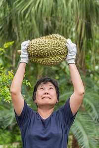 生的人们可口拥有都里安的亚洲女农民是泰国的水果之王阿西亚有一个钉子壳在泰国街头小吃市场上可以买到甜美食品和水果市场而拥有都里安的图片