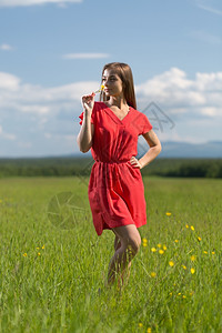 淑女时尚20岁的穿红裙子女孩在阳光明媚的一天在田里闻着朵黄花女士图片