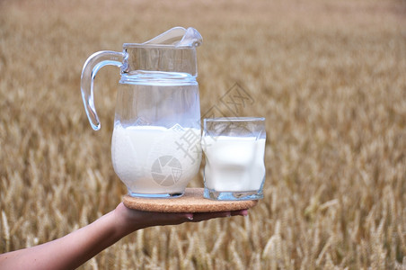 草自然乡村的Jug牛奶反对麦田图片
