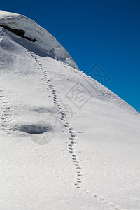 冬季雪景风光图片