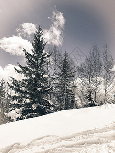 冬季雪景风光图片