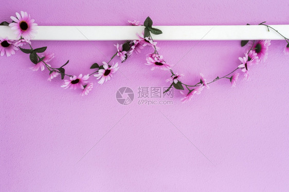 自然生日挂在粉红色墙壁背景上的欢快五颜六色的粉红紫雏菊花环纹理美丽的现代设计与复制空间抽象装饰与鲜花快乐的紫色雏菊花环挂在粉红色图片