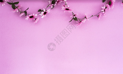花的束挂在粉红色墙壁背景上的欢快五颜六色的粉红紫雏菊花环纹理美丽的现代设计与复制空间抽象装饰与鲜花快乐的紫色雏菊花环挂在粉红色墙图片