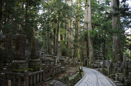 启示地点奥之院墓日本和歌山高野的奥之院日本世界遗产阳光图片