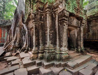TaProhm古老高棉建筑塔普罗姆寺庙在柬埔寨暹粒的吴哥Wat综合体中树有巨大的班扬两幅图像全景想知道复杂的东图片