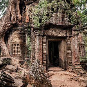 废墟TaProhm古老高棉建筑塔普罗姆寺庙在柬埔寨暹粒的吴哥Wat综合体中树有巨大的班扬两幅图像全景建筑学结石图片