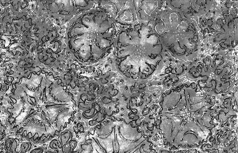 夜晚场地土壤灰色粗纹理有刮痕圆点和线条配有色调转换轮廓白花菊椰子和藻类等白色轮廓的颜单画抽象板底背景图片