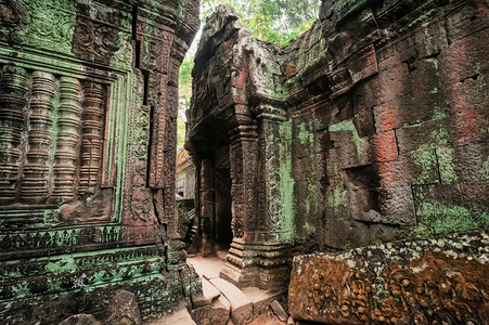 TaProhm古老高棉建筑塔普罗姆寺庙在柬埔寨暹粒的吴哥Wat综合体中树有巨大的班扬两幅图像全景历史根古老的图片