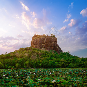 阳光地标斯里兰卡SigririyaSlicanLotus花塘的古老堡垒和著名的世界遗产中狮子岩石惊人的夕阳景色池塘图片