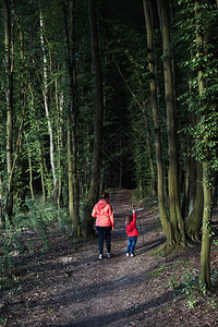 女士与母亲和儿一起在森林中走过渡闲暇时间度假在森林里游荡接近自然绿色小路图片