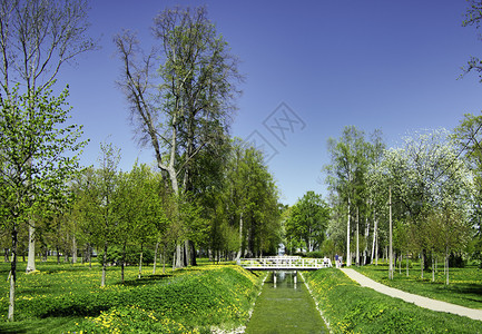 夏天林间空地阳光明媚的春天公园在阳光明媚的一天在春公园中游荡着景观图片