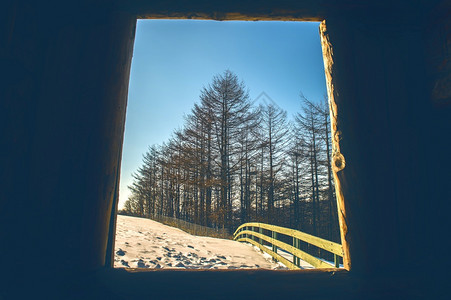 雪窗户晴天在阳光明媚的冬季看到窗口松林的风景图片