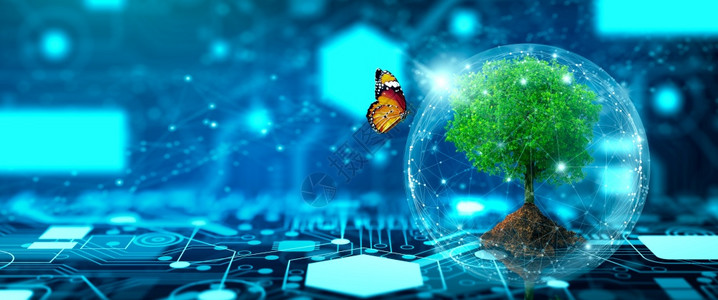 计算机电路板汇聚点上生长的土壤树蓝光和线框网络背景绿色计算技术IT企业社会责任和IT伦理概念硬件芯片友好图片