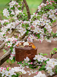帕夏木制的节日复活蛋糕背景是花园苹果树上一棵开花的苹果树在明晴阳光媚的一天上花朵在园中一棵开的苹果树上背景餐巾图片