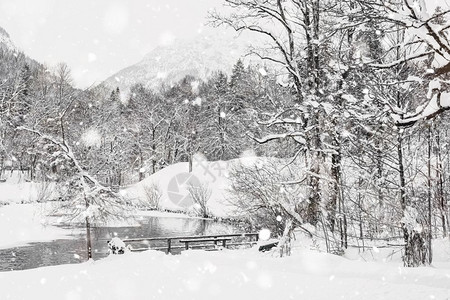 寒冷的高山圣诞节雪地房屋和树木的阿尔卑斯山风景观有雪覆盖田地房子和树林神奇的柔滑场景背在雪瀑德国欧洲单色中音调与自然光图片