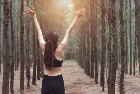闲暇美丽瑜伽女在松木林中伸展手臂和呼吸新鲜空气同时运用锻炼与生活方式概念享受生活和保健主题自然与户外主题背景