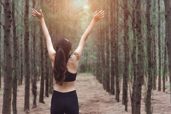 闲暇美丽瑜伽女在松木林中伸展手臂和呼吸新鲜空气同时运用锻炼与生活方式概念享受生活和保健主题自然与户外主题图片