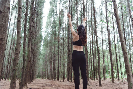 森林女士瑜伽在松木林中伸展手臂和呼吸新鲜空气同时运用锻炼与生活方式概念享受生活和保健主题自然与户外主题图片
