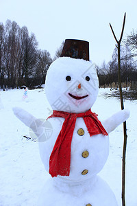 寒冷的在新年雪中人欢乐的赋予圣诞象征雪人与红围巾在厨房花园雪人快乐的圣诞肖像花图片