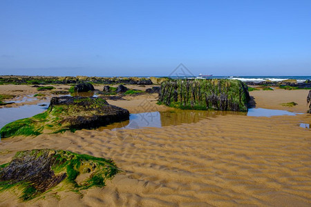 水英格兰东北海岸的泰尼茅斯长沙滩拍摄于一个温暖的暑夏日这是全年非常流行的海滩景一种图片