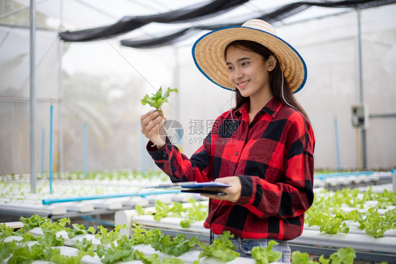 农业培育员检查蔬菜质量图片