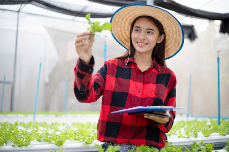 使用平板和笔记本检查使用水栽培剂种植的有机蔬菜质量亚洲女农民使用平板和笔记本检查用水栽培法种植的有机蔬菜质量年轻药片沙拉图片