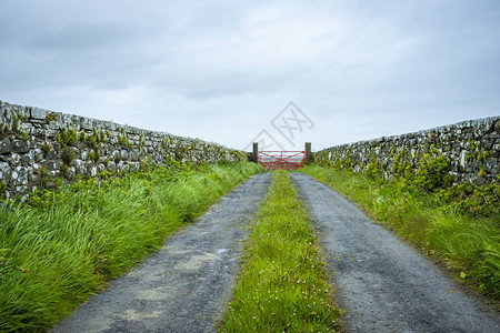 天空气海岸爱尔兰克拉雷县Carriigaholt的石墙之间红色大门图片