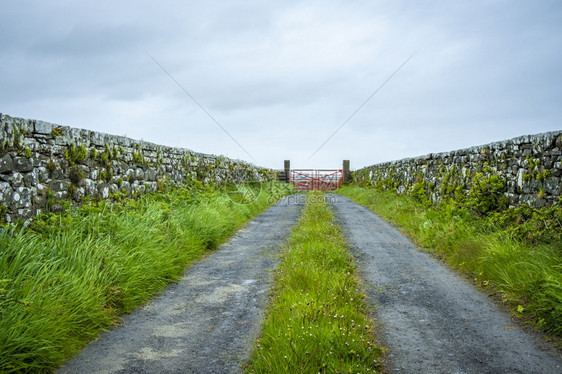 天空气海岸爱尔兰克拉雷县Carriigaholt的石墙之间红色大门图片