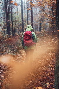 徒步旅行在秋天寒冷的一带着背包在森林周围游荡的女人回到中年活跃女视野积极走在森林道路上花时间女人与背包在森林周围游荡秋天寒冷的一图片